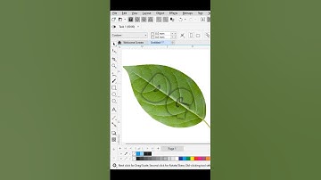 Transparent Text On a Leaf || Dev Graphics || #coreldraw #graphicdesign
