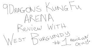 9Dragons Kungfu Arena Review
