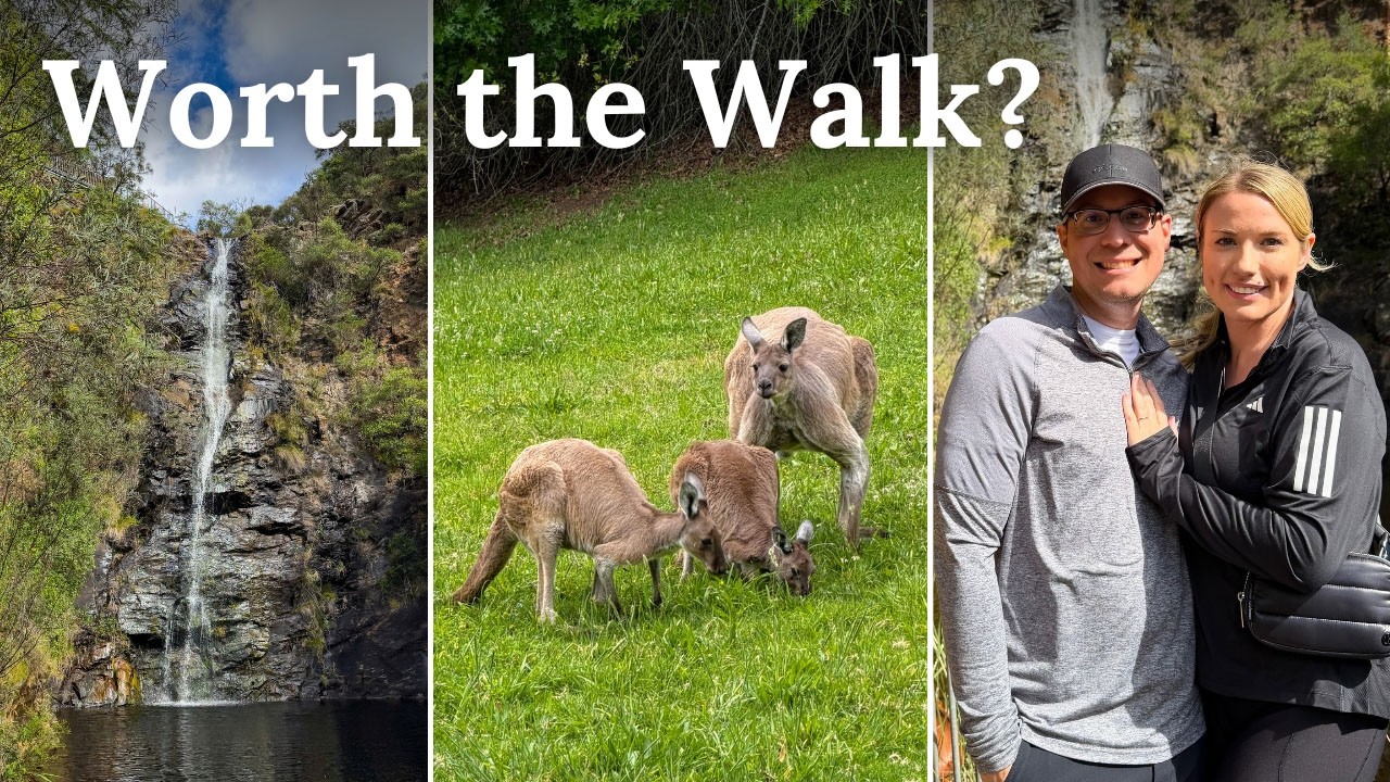 Живописные пешие маршруты недалеко от Аделаиды! Ботанический сад Маунт-Лофти и водопадная лощина!