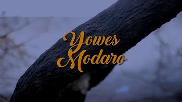 Yowes modaro - Aftershine ft. Damara.de (UNOFFICIAL LIRIK VIDEO LAGU)
