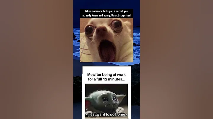 please like and follow if you enjoy the video #memes #memefunny #meme