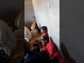 العامة بيمناسبة زيرة برينكان تسابيت