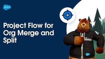 Project Flow for Org Merge and Split