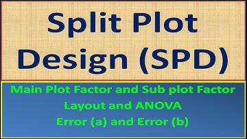 Split Plot Design