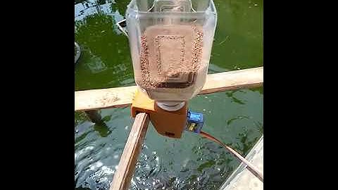 Uji coba alat pakan ikan Otomatis Menggunakan Arduino UNO di kolam ikan lele