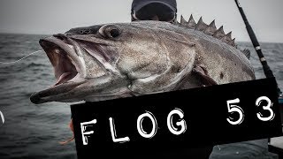 Flog 53 // Bottom Bangers with $200 12lb Salmon for Bait!!!!!