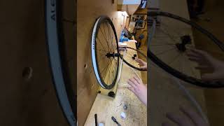 Alex Rims Rxd6 Wheelset Review