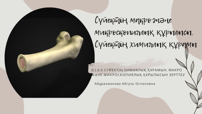 Үйдегі секс туралы видео Абхазиядан келген қызбен порно