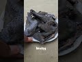 هذه أغرب الحيوانات التي خلقها الله في العالم، والأخير مذهل حقًا, 😱 #معلومات #facts #viral #animals