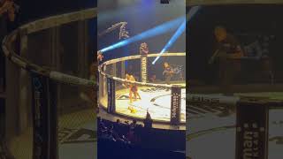 Andreas Gustavsson Vs Dom Schober