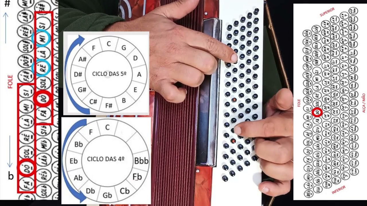 INICIANTE - COMO APRENDER A TOCAR OS 120 BAIXOS DO ACORDEON, SANFONA, GAITA