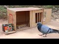 Creative Bird Trap Machine Using Big Cardboard Box