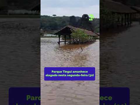 Parque Tingui amanhece alagado nesta segunda-feira (30) #curitiba #chuva