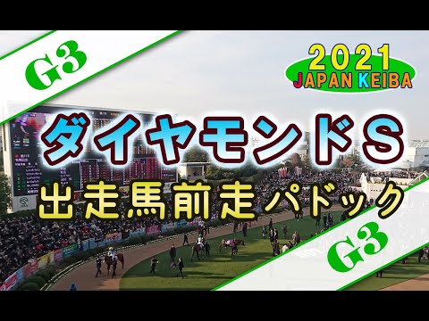 【競馬パドック】ダイヤモンドS（2021年）前走パドック
