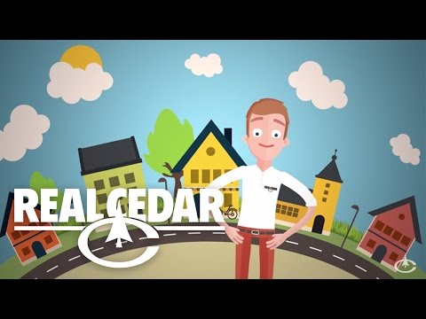 Video: Cedar huizen: kenmerken, kosten