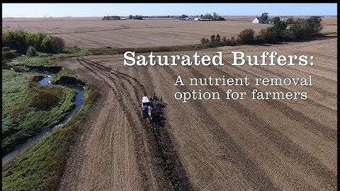 Saturated Buffers: A nutrient removal option for farmers
