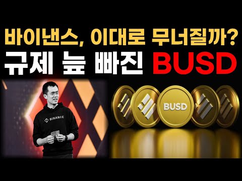   규제 늪에 빠진 BUSD코인 바이낸스의 선택은 Feat BNB