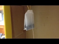 My simple, homemade Rube Goldberg machine. - YouTube