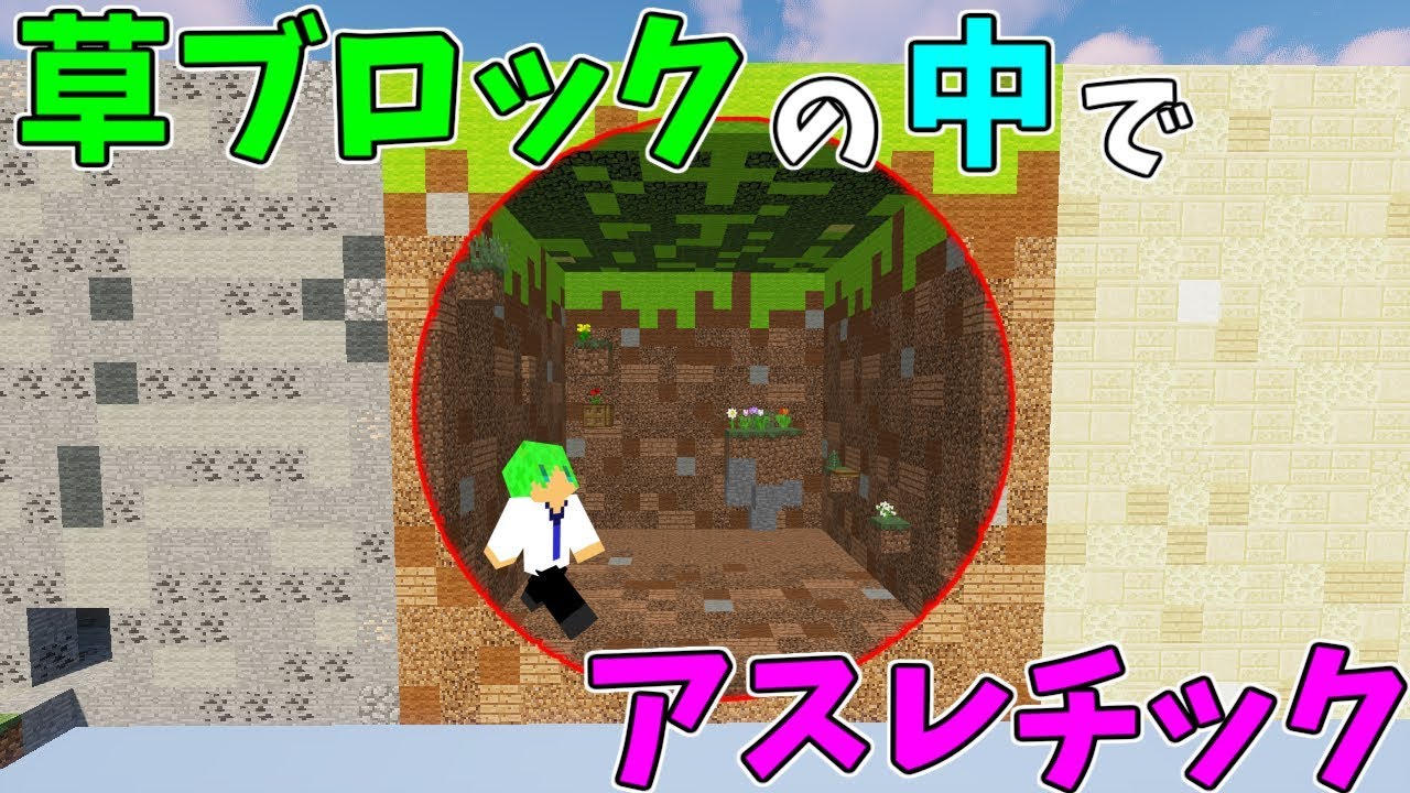 コレクション マインクラフト 草 マインクラフト 草ブロック Japanxoldt