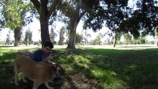 Relaxing Day at the Park 360 VR
