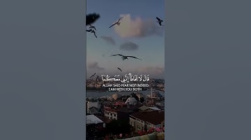 #لايك #اكسبلور #المصحف #islamsobhi #استغفر_الله #تيك_توك #تلاوة_مؤثرة #قران_كريم #سبحان_الله_وبحمده