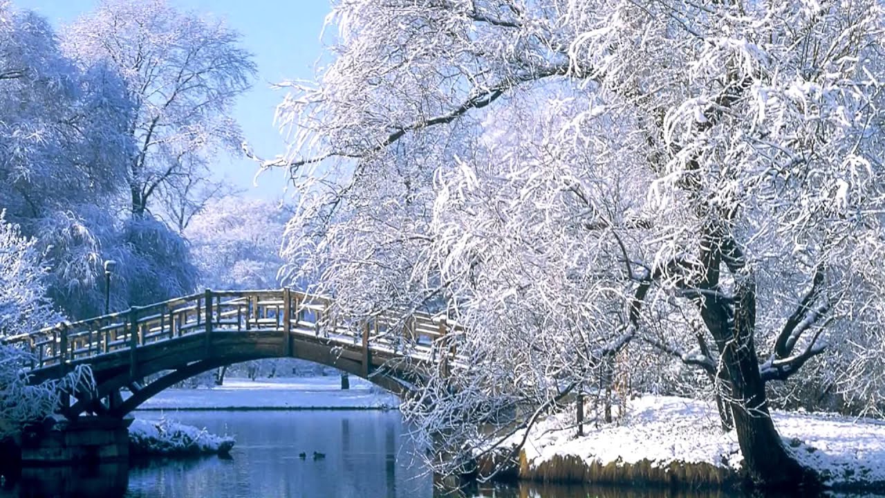 Canadian tenors christmas carols