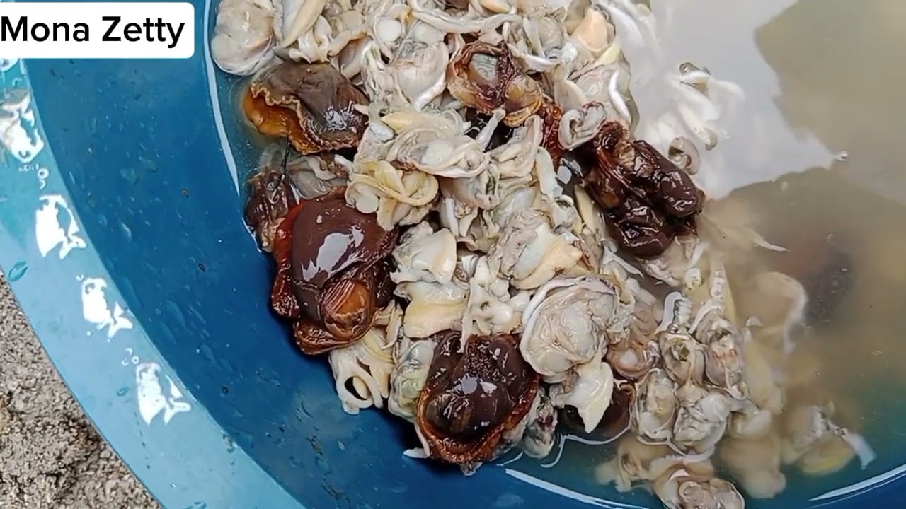 bulan desember begini musim kerang di laut