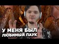 Маргинал рассказал про пауков с которыми жил