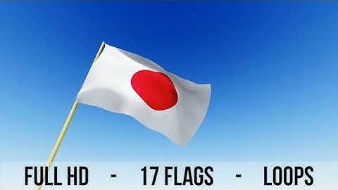 Flags Pack | Motion Graphics - Envato elements