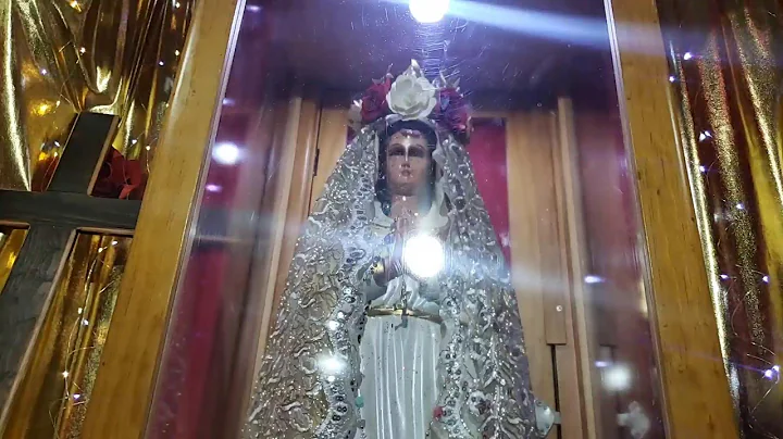 Cecilia Zamoratransmitid...  en directo.