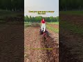 This machine can easily handle all kinds of complex terrain #tractor #minitractor #agricultura