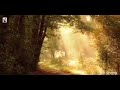 6 minute Sunny Morning Relaxing Music   Refreshing music for stress relief,studying,afternoon relax