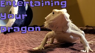 Ways to Entertain your Dragon