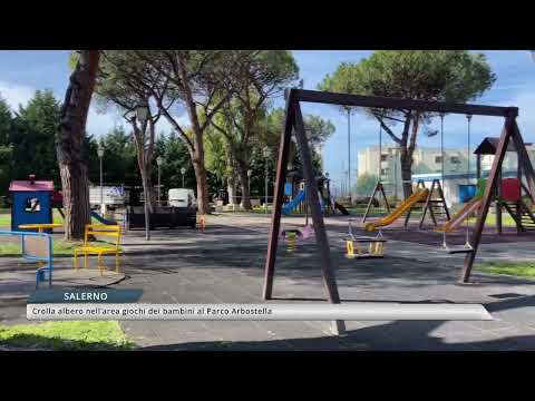 Salerno, crolla albero nell'area giochi dei bambini al Parco Arbostella