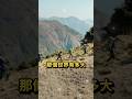 從闊葉到針葉樹!看懂台灣森林與《神木之島》│#神木之島 #shorts #來爬山 #爬山 #自我探索 從闊葉到針葉樹!看懂台灣森林與《神木之島》│#神木之島 #shorts #來爬山 #爬山 #自我探索