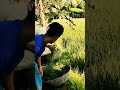 Funny prank || Funny Short Videos || Comedy #shorts