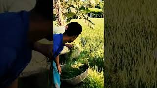 Funny prank || Funny Short Videos || Comedy #shorts