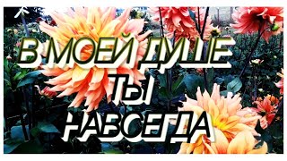 ,,В МОЕЙ ДУШЕ ТЫ НАВСЕГДА,,  Музыка Сергей Грищук