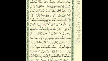 الورد اليومى سورة إبراهيم من الاية 11 الى الاية 18 بصوت القارئ الشيخ ماهر المعيقلى #ماهر_المعيقلي