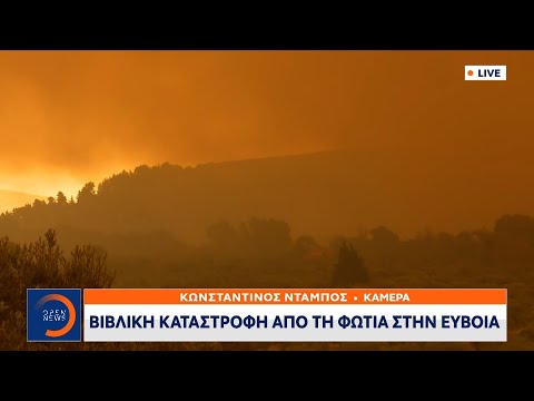 Φωτιά Εύβοια: Σε πύρινη πολιορκία το χωριό Γούβες  | Μεσημεριανό δελτίο ειδήσεων 08/08/21 | OPEN TV