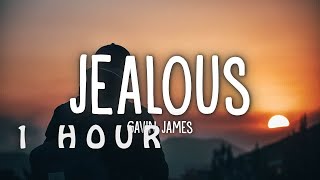 [1 HOUR 🕐 ] Gavin James - Jealous (Lyrics)