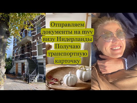 Какие документы отправлять для оформления партнерской mvv визы. Транспортная карточка Нидерланды