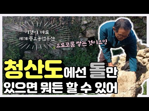 배우 <strong>박철민</strong>, 섬으로 가다 | 청산도에서 세계중요농업유산으로 지정된 농업 기술의 핵심은 무엇?