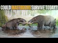 Could Mastodons Survive Nowadays?