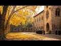 Monks Choir of Gregorian Chants | Sacred Melodies in Autumn Glory