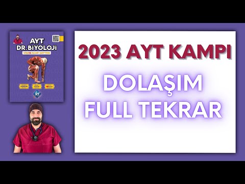 Dolaşım Sistemi Full Tekrar AYT Biyoloji Kampı Konu Anlatımı/ 11.Sınıf 2024 Tayfa