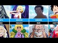 Who is the most beautiful? Young and old versions of One Piece characters [ONE PIECE]