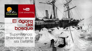 Supervivencia: Shackleton en la Isla Elefante