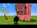 1 pixel pig vs giant pig