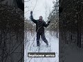 Берёзовая метла, рубка прутьев